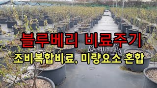 블루베리 비료주기, 복합비료, 미량요소 혼합