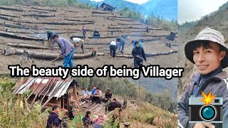 Aphulomi Küxü | Village Life | Part-2 #documentary #jhumcultivation #yemishe #sumi