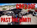 CRF230F Ridden to the Limit! - SHRED