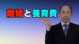 【協議離婚を検討している方へ】離婚と養育費、未成年の子供がいる方はぜひご覧下さい！