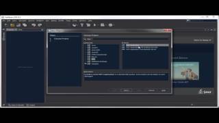 CodeIgniter3 Setup with Netbeans