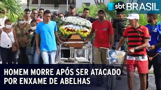 Homem morre após ser atacado por enxame de abelhas | SBT Brasil (13/03/23)