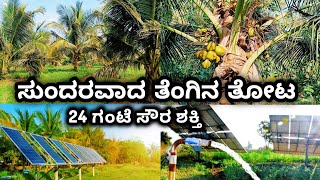 1Acre26Gunta coconut farm//24Hr Solar power//malavalli//halaguru//9513194244