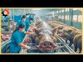 How does a modern pork factory in Germany work? | Food Industry Machines ▶169