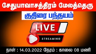 பெரியமாடு சேதுபாவசத்திரம் நேரலை   | Live Sethubavasathiram Panthayam | Reklarace2022