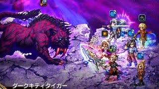 FFBE 第34回 ダークビジョンズ ダークキティタイガー戦 ATナイツオブグランシェルト