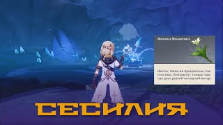 Сесилия, места сбора (42 шт). Материал для возвышения Альбедо и Венти. Genshin Impact