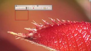 Best Screen Casting Software in Linux