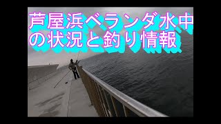 兵庫県南芦屋浜ベランダの水中動画と釣り情報