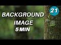 21. Include Background Image with CSS 🖼️