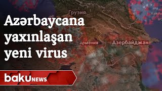 Mutasiyaya uğramış virus region ölkələrində