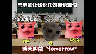 当老师让你说几句英语单词 #猫meme  #校园