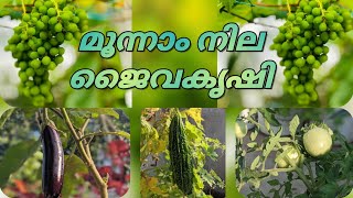 മൂന്നാം നിലയിലെ ഫ്രൂട്ട്സും പച്ചക്കറിയും Part 1|| Terrace Farming