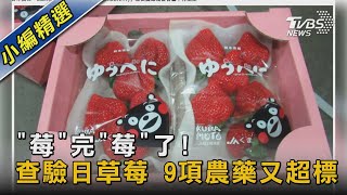 「莓」完「莓」了!查驗日草莓 9項農藥又超標｜TVBS新聞