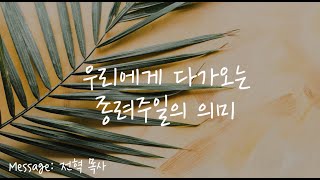 우리에게 다가오는 종려주일의 의미 - 전혁목사