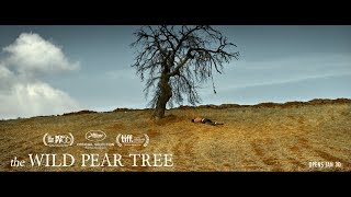 The Wild Pear Tree   official UK trailer