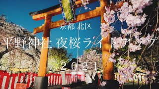 【京都夜桜2021】京都北区　平野神社　夜桜ライトアップ(金閣寺・北野天満宮エリア)