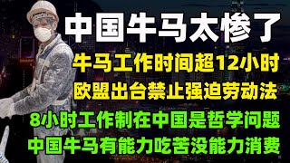 中国牛马太惨了。牛马工作时间超12小时，欧盟出台禁止强迫劳动法。8小时工作制在中国是哲学问题，中国牛马有能力吃苦没能力消费#中国 #欧盟 #消费