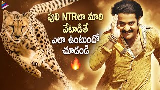 NTR Best Action Scene | Jr NTR Yamadonga Tiger Fight Scene | SS Rajamouli | Vijayan Tamil Movie