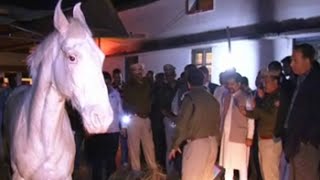 Video shows BJP leader didn't hit horse who is visited by Chief Minister