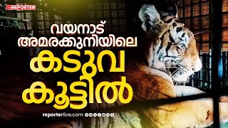 പുൽപ്പള്ളിയെ വിറപ്പിച്ച കടുവ അവസാനം കൂട്ടിലായി | Wayanad | Forest Department