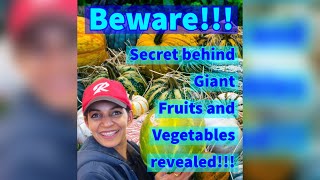 Giant fruits and vegetables! !!  Secret revealed!!!