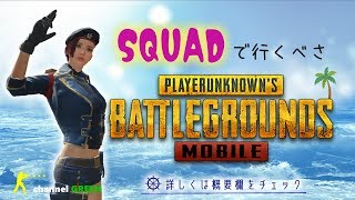 S8 #6【PUBG MOBILE】リスナー参加型～SQUADで行くべさ。概要欄をチェックしてね。