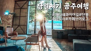 [4k] 공주 당일치기 가을여행 | 마곡사 | 정안천 | 숨겨진 메타쉐콰이어 명소 | 단풍구경 | 청룡창고 | 여행브이로그 | 카페브이로그