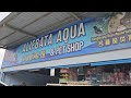 Selayang Aquarium Shop, ALIFBATA AQUA 2024