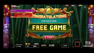 星城Online-蓋世熊貓 FREE SPIN Super win 🤑🤑🥳🥳