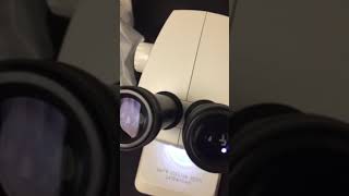 Leica Dissecting Microscope Tutorial