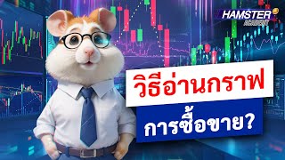 การลงทุนสำหรับผู้เริ่มต้น: วิธีอ่านกราฟการซื้อขาย ⚡️ Hamster Academy