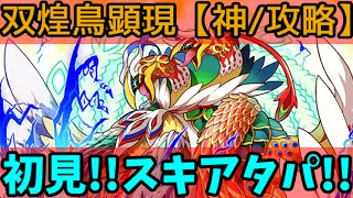 【サモンズボード】ノーコン成るか?!初見で突撃天空の巣 ~双煌鳥グラミス~【神/攻略/実況】