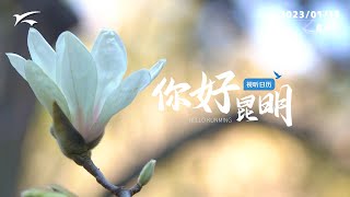 视听日历|你好昆明：玉兰飘香