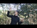 Messianic ASL Song: 