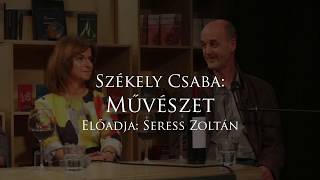 Székely Csaba: Művészet