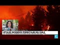 Informe desde Santiago: letales incendios forestales en Chile dejan ya 24 fallecidos