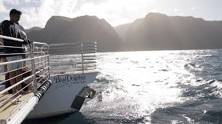 Best Things To Do in Kauai | Napali Coast Boat Tour | Blue Dolphin Charters Review