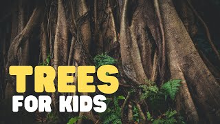 Trees for Kids | Learn all about trees in this fun educational  for kids