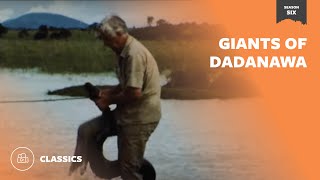 Giants of Dadanawa | Mutual of Omaha's Wild Kingdom