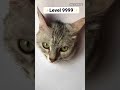 Realistic Cat Drawing Techniques 🎨 #shorts #art #viral