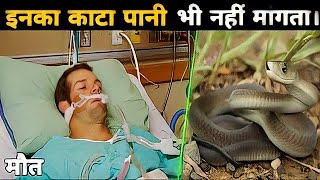 दुनिया के 5 सबसे जहरीले सांप जिनका काटा पानी भी नहीं मांगता || 5 most poisonous snakes in the world