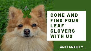 Four Leaf Clover -Anti Anxiety- Game # 1