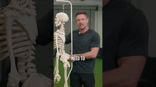 How To Fix Anterior Pelvic Tilt - A New Method
