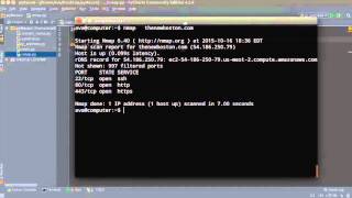 Python Website Scanner Tutorial 4 Nmap Port Scan