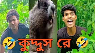 kuddus re। কুদ্দুস রে। কুদ্দুসের শট ফানি ভিডিও 🤣।#shorts #youtube #funny