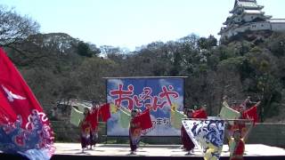 海友会 dance team 楽舞和　おどるんや春まつり