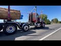 peterbilt logging truck in 2024 everson festival parade with huge 3 log fir load.