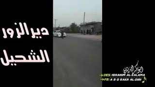 جديد : أحد أعراس مدينة الشحيل