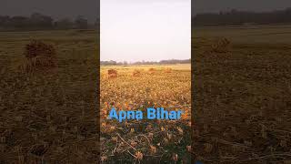 Neek Ba Kisani #shots #viral #video #youtube #bihar